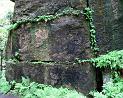 2010-06-12, Uttewalder Grund (14)